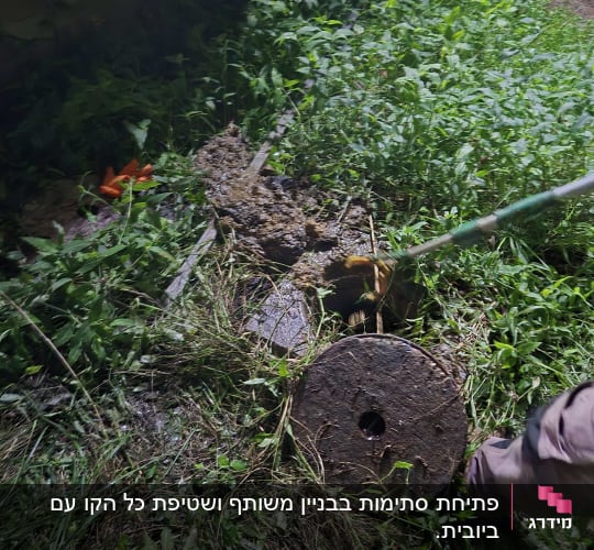 עבודת ניקוי עם צינור ואדמה רטובה